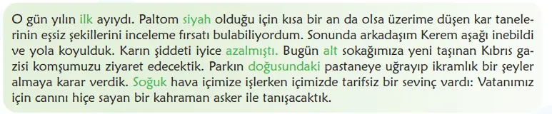 6. Sınıf Türkçe Ders Kitabı Sayfa 114 Cevapları MEB Yayınları