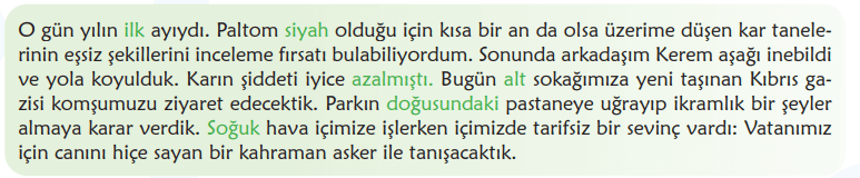 6. Sınıf Türkçe Ders Kitabı Sayfa 114 Cevapları MEB Yayınları