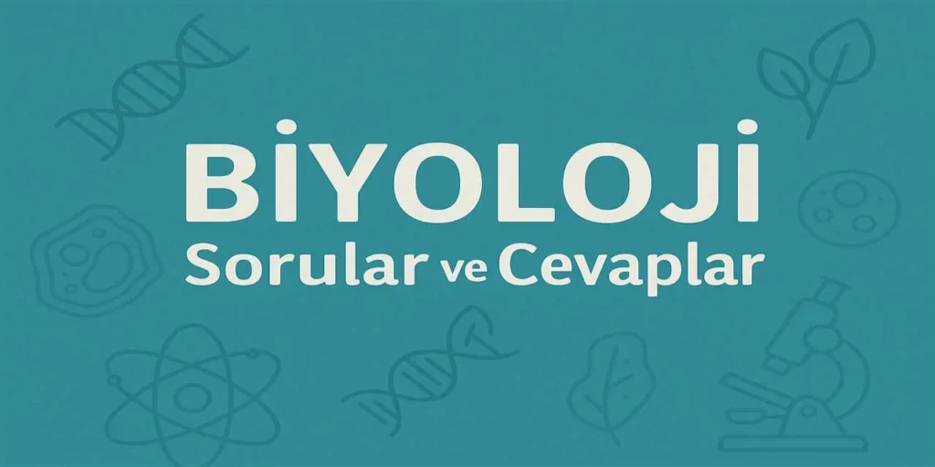 10. Sınıf Biyoloji Ekolojik Ayak İzi Sorusu Sayfa 159 Kontrol Noktası Cevabı