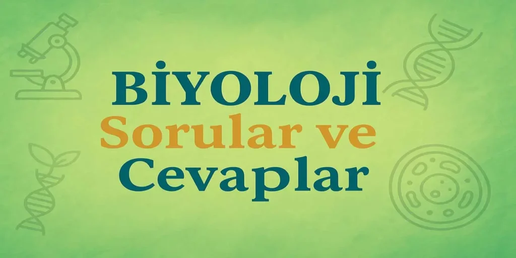10. Sınıf Meb Biyoloji Ders Kitabı Sayfa 143-144 Cevapları