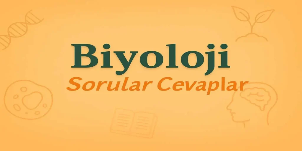 10. Sınıf Biyoloji Ders Kitabı Sayfa 143–144 Cevapları