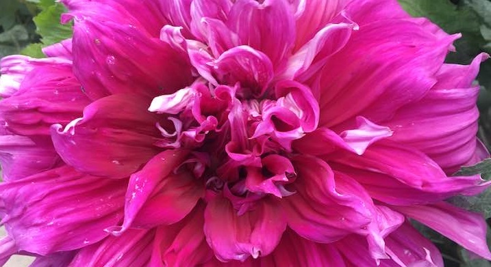 Hayırlı bir gün – 31-01-2026