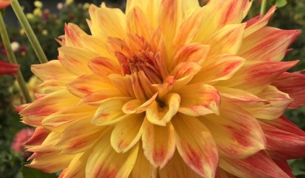 Hayırlı bir gün – 28-01-2026