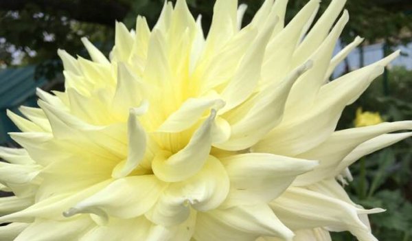 Hayırlı bir gün – 29-01-2026