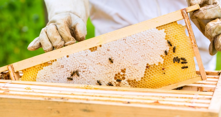 Balla ilgili doğru bilinen yanlışlar