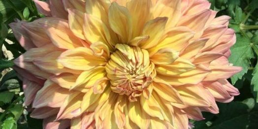 Hayırlı bir gün – 14-02-2026