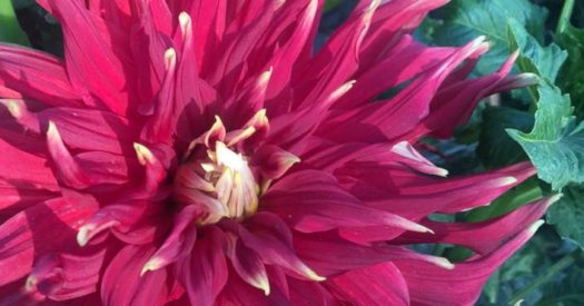 Hayırlı bir gün – 23-02-2026