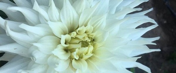 Hayırlı bir gün – 11-02-2026