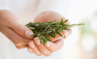 Şifalı otlar yüz yıllardır tedavi ediyor