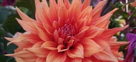 Hayırlı bir gün – 26-02-2026