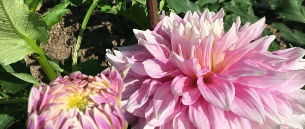 Hayırlı bir gün – 16-02-2026