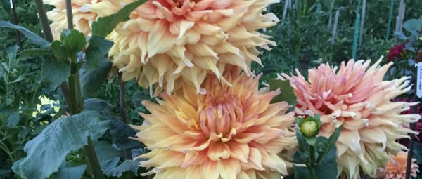 Hayırlı bir gün – 18-02-2026