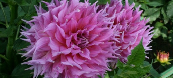 Hayırlı bir gün – 17-02-2026