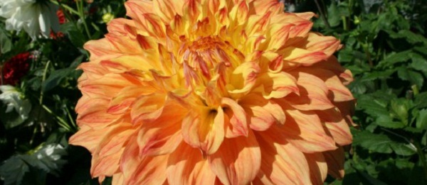 Hayırlı bir gün – 25-02-2026