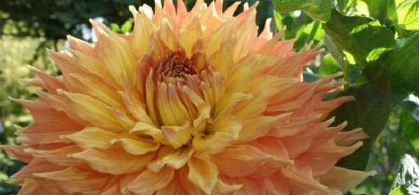 Hayırlı bir gün – 12-02-2026