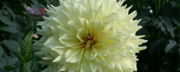 Hayırlı bir gün – 10-02-2026