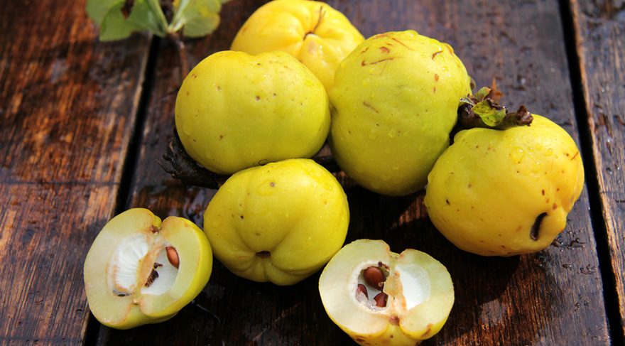 Kış aylarının sağlık deposu: Ayva