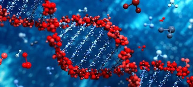 Kanserde Akıllı Test Dönemi