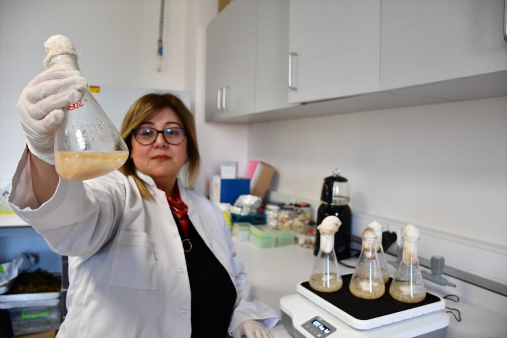 Akademisyenler, gıdalarda oluşan mantar ve küflerin çoğalmasını engelleyen yeni nesil bileşik geliştirdi