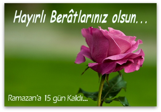 Hayırlı bir gün – 02-02-2026