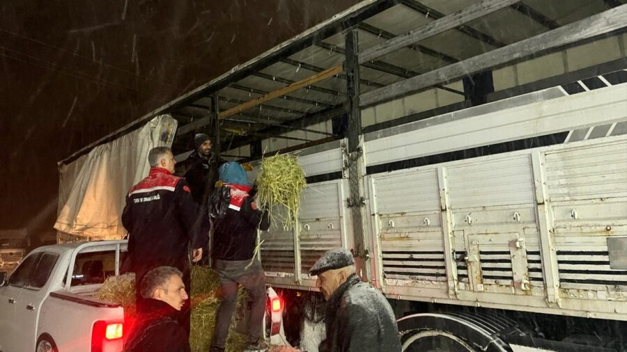 Erzurum’da yolda kalan tırlardaki hayvanlar beslendi