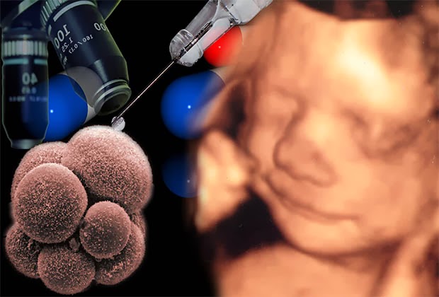 Tüp bebek tedavilerinde aşamalar