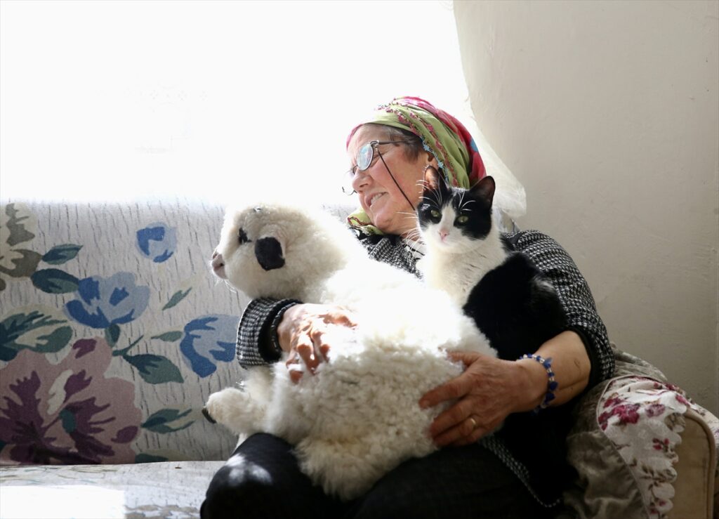 Kuzusunu yanından ayırmayan kadın görme engelli buzağıya da ışık oluyor