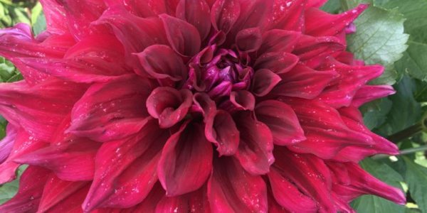 Hayırlı bir gün – 13-02-2026