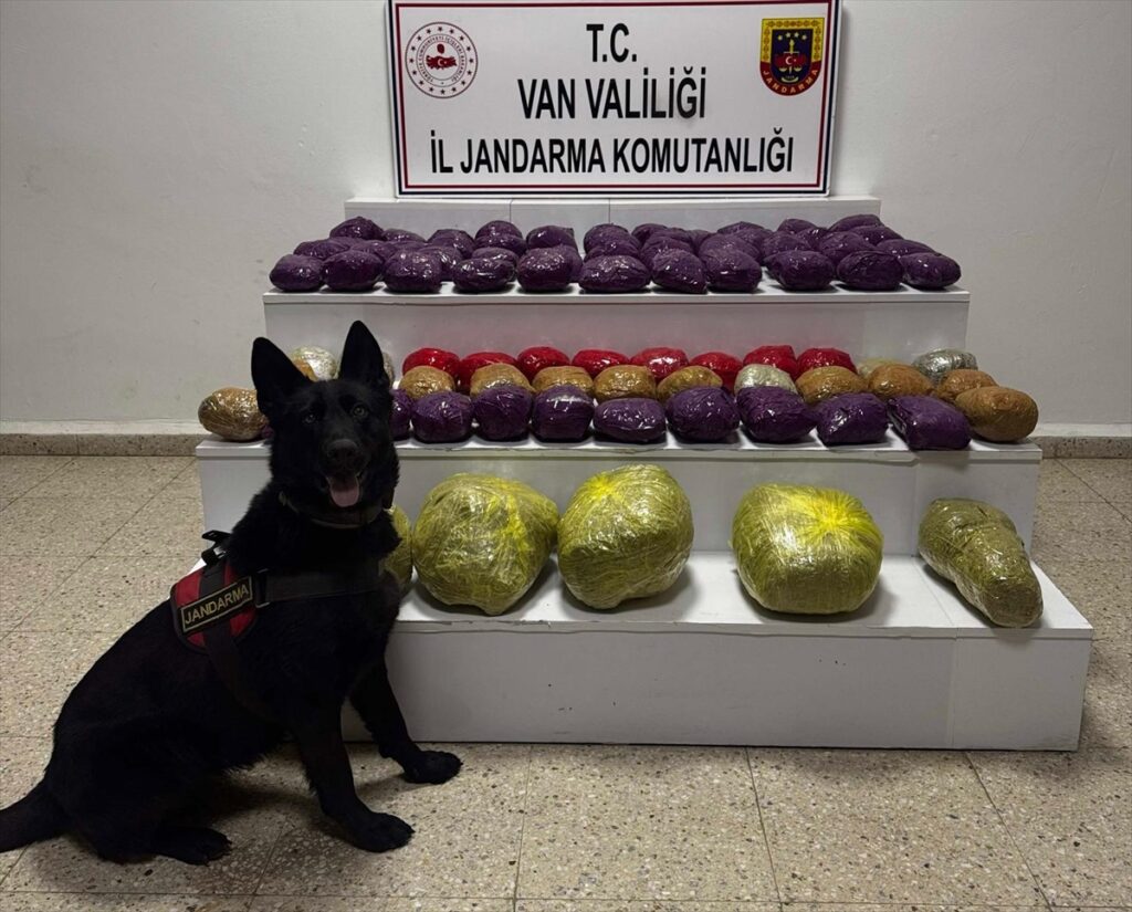 Van’da 31 kilo 551 gram uyuşturucu ele geçirildi