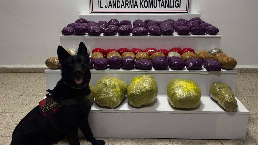 Van’da 31 kilo 551 gram uyuşturucu ele geçirildi