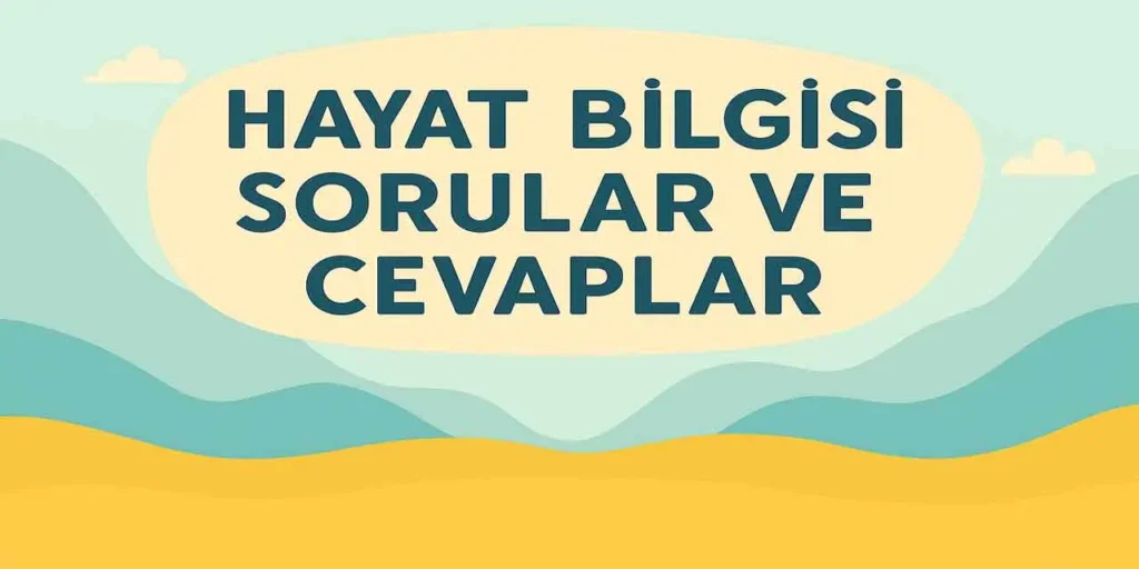 2. Sınıf Hayat Bilgisi 2. Ders Kitabı Sayfa 60-67 Cevapları MEB Yayınları
