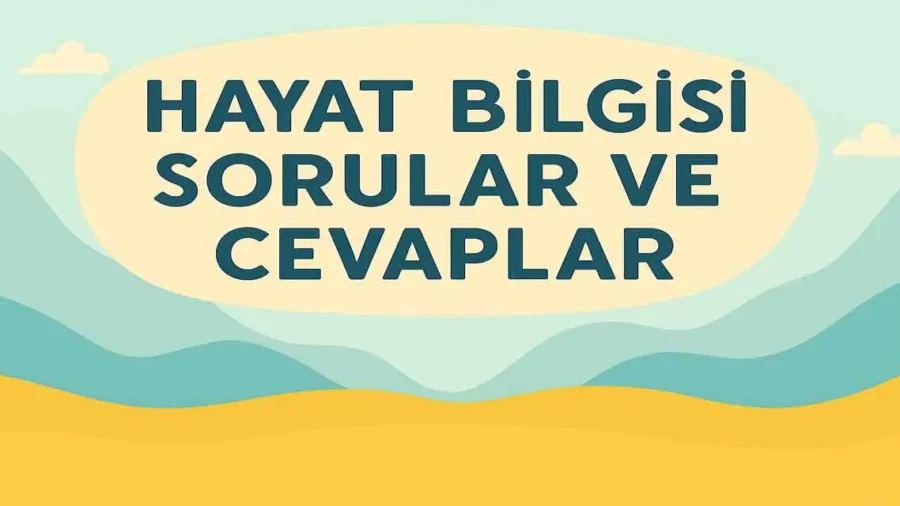 2. Sınıf Hayat Bilgisi Ders Kitabı Sayfa 38-39-42-43 Cevapları – Bayram Gelince (MEB Yayınları)
