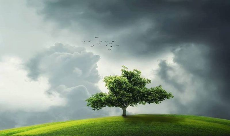 İmanın devamlı kalmasının sebepleri