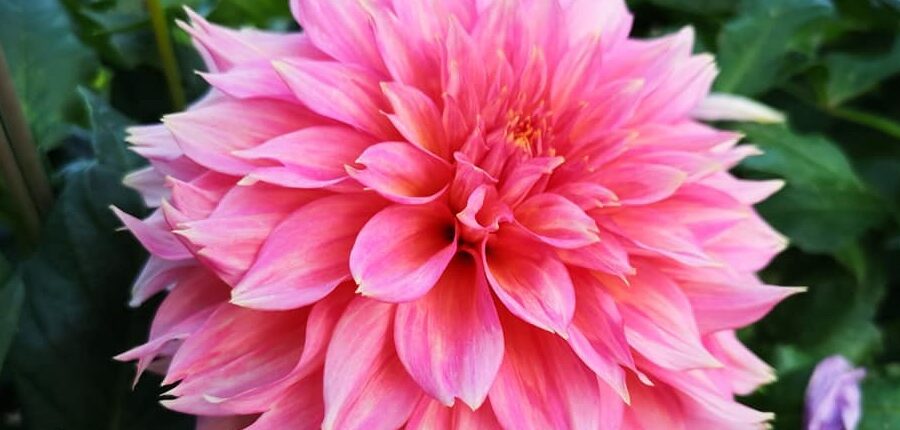 Hayırlı bir gün – 02-03-2026