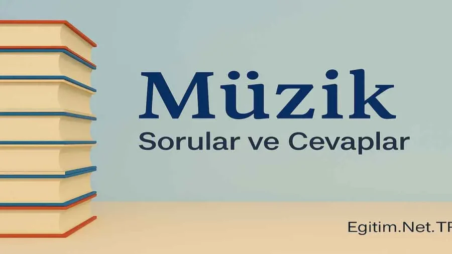 5. Sınıf Müzik Ders Kitabı Sayfa 46 Cevapları