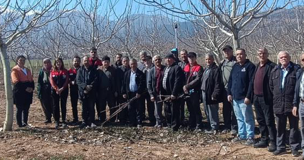 Denizli’de üreticilere uygulamalı budama eğitimi