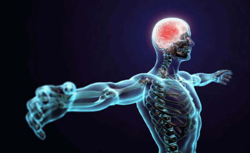 Bedeni meydana getiren maddelerin dengesi