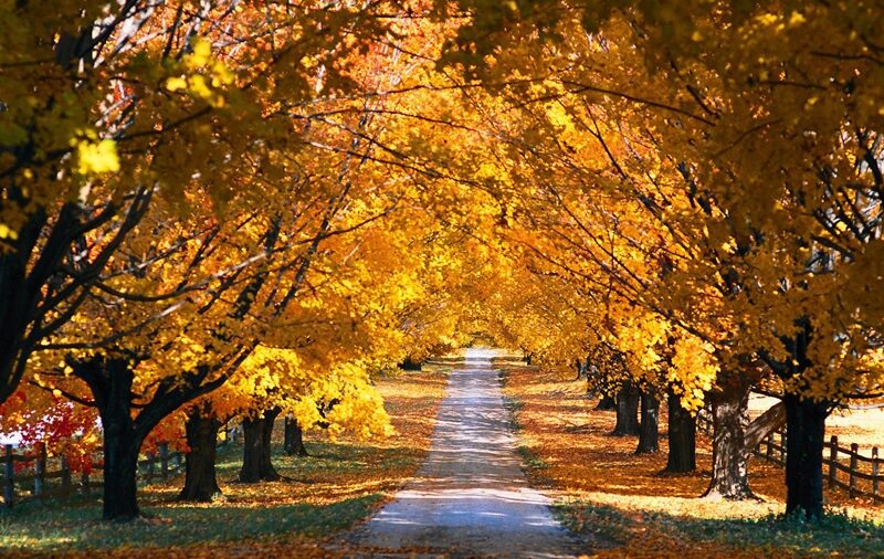 Öyle gelen böyle gider