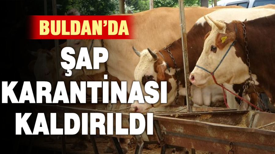 Buldan’da şap karantinası kaldırıldı 