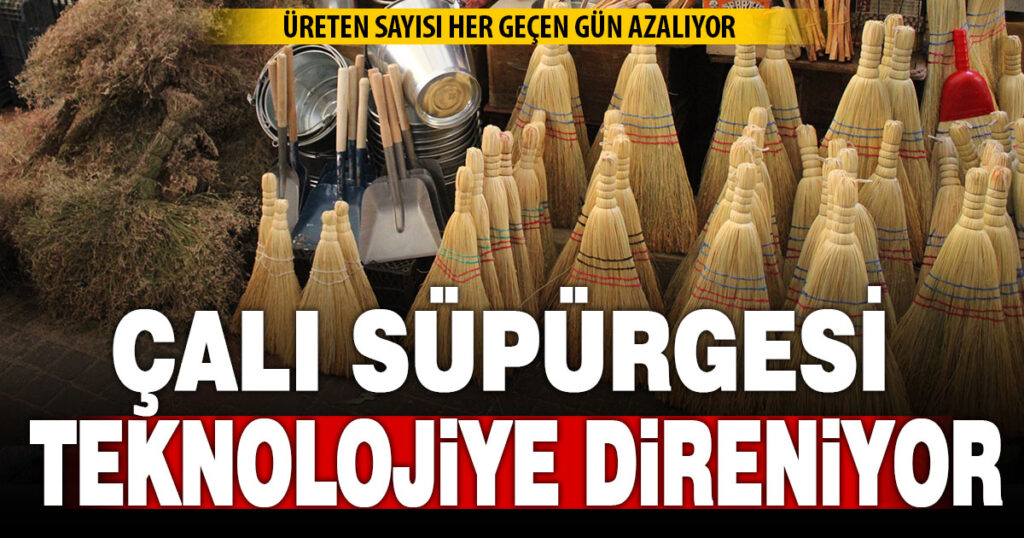 Çalı süpürgesi teknolojiye direniyor  