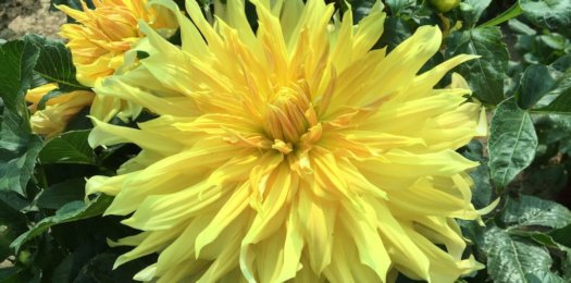 Hayırlı bir gün – 05-03-2026