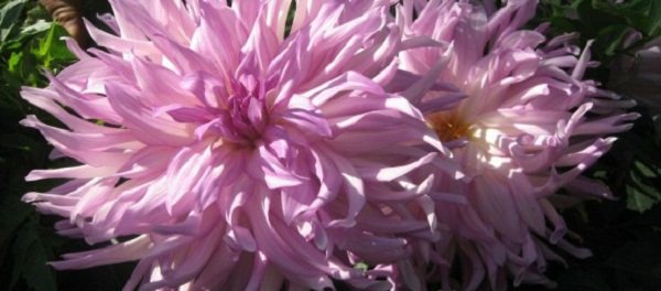 Hayırlı bir gün – 03-03-2026