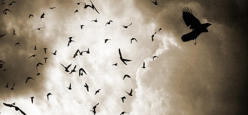 Yakında olan ile uzakta olan müsavi değildir