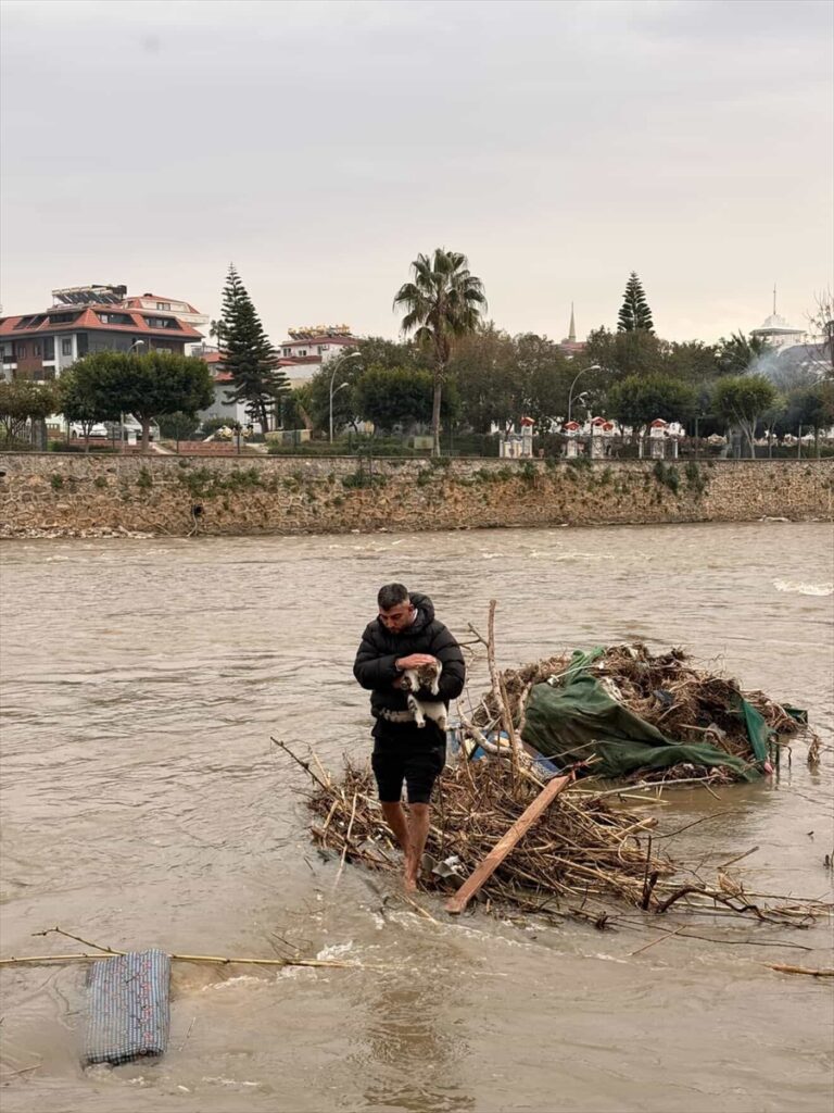 Alanya’da çayda mahsur kalan kediyi vatandaş kurtardı