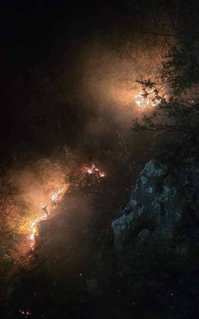 Alanya’da ormanlık alanda çıkan yangın söndürüldü