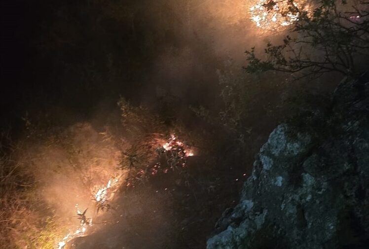 Alanya’da ormanlık alanda çıkan yangın söndürüldü