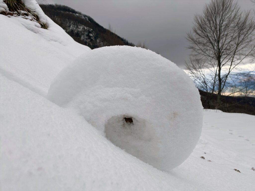 Amasya’da doğada ender oluşan kar ruloları görüntülendi