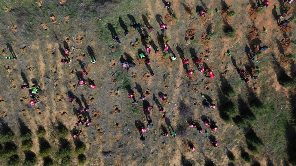 Bilecik’te Kızılay gönüllüleri fidanları toprakla buluşturdu