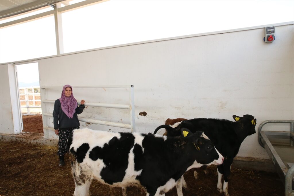Denizli’de kadın girişimci devlet desteğiyle hayal ettiği çiftliği kurdu