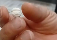 Yüksekova’da Leblebi İçinde Metal Cisim Şok Etti